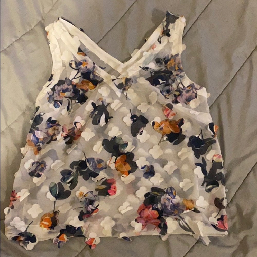Sheer blouse top